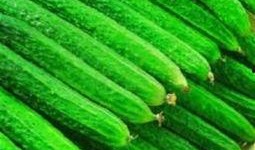 护肤吃瓜头像,美丽从内而外