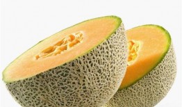 吃哈密瓜怎么给宝宝吃,营养美味两不误