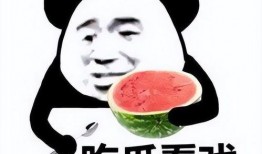 瓜哥带你吃瓜表情包图片,瓜哥带你领略“吃瓜表情包”的魅力瞬间