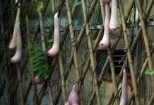 带你吃瓜搞笑国画,带你领略搞笑国画中的趣味人生