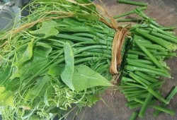 佛手瓜怎么吃没毒,揭秘无毒美味烹饪方法