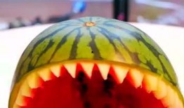 两小时吃瓜,揭秘娱乐圈的甜蜜与苦涩