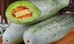 钢牙吃蜜瓜,甜蜜与坚韧的碰撞