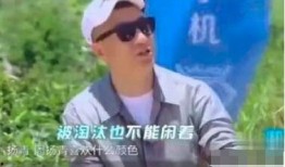 孙红雷吃瓜,娱乐圈风云再起