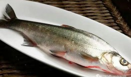 单字id鱼吃瓜,鱼儿戏水尝瓜香