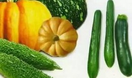 于杰吃瓜,揭秘娱乐圈幕后故事