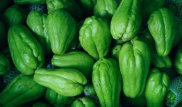 洋瓜哪里可以吃,从田间到餐桌的味蕾之旅