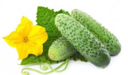 吃瓜系统宋清平,揭秘娱乐圈背后的真相与笑料