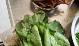 方瓜叶怎么吃,探索家常美味新选择