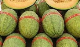 睡前吃蜜瓜好吗,健康益处与注意事项