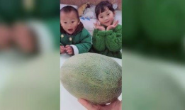 哥哥吃瓜皮妹妹吃瓜,哥哥吃瓜皮，妹妹吃瓜的趣味日常