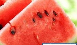 胖小子吃瓜,趣味横生的夏日消暑记