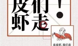 网络语吃瓜视频,带你领略网络娱乐新风尚