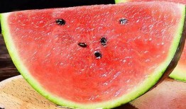 圣华女子吃瓜,一场吃瓜盛宴背后的真相揭秘