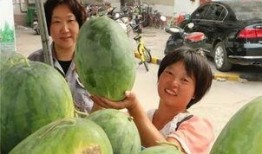 巨野小区吃瓜,揭秘邻里间的甜蜜纠纷