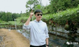 于杰吃瓜,揭秘娱乐圈幕后故事