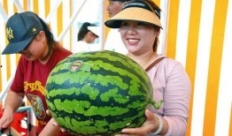 吃瓜开幕,揭秘娱乐圈幕后风云