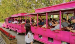 打卡吃瓜怎么拍照好看