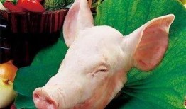 猪头特效发吃瓜,揭秘网络热梗背后的趣味与争议