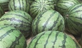 中山南头吃瓜,夏日炎炎，吃瓜群众的热闹时光