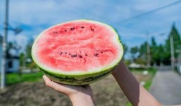 吃新瓜.shop,品味夏日新鲜瓜果的网上乐园