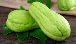 血脂高可以吃贝贝瓜,贝贝瓜助力健康生活