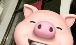 猪头特效发吃瓜,揭秘网络热梗背后的趣味与争议