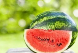 吃瓜冰岛,探寻吃瓜冰岛的独特风味