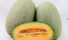 吃一斤哈密瓜会上火吗吗