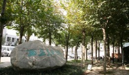 西安美院吃瓜,揭秘校园里的那些事儿