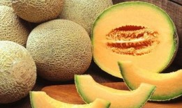 血糖吃哈密瓜,哈密瓜的甜蜜平衡之道