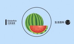 关于吃瓜的谚语,吃瓜谚语里的智慧与哲理