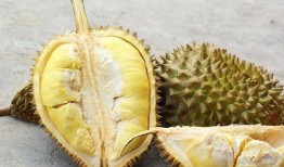 吃蜜瓜榴莲的视频,口感盛宴一网打尽！