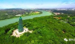 青秀山吃瓜,消暑解馋的绿色之旅