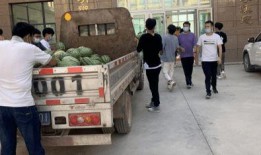 校园吃瓜稿子,揭秘那些令人捧腹的吃瓜瞬间