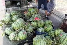 临沂吃瓜网红事件,揭秘网络舆论的风暴与真相