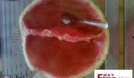 十对夫妻吃瓜,揭秘婚姻背后的甜蜜与苦涩