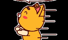 吃货带你吃瓜,解锁美味新体验