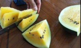 吃瓜不能被吊着,揭秘吊着吃的秘密与趣味