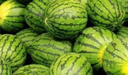 如何才能提前吃瓜,提前掌握热门事件，成为吃瓜群众的先行者