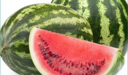 矮瓜痛风可以吃吗,适宜与否揭秘