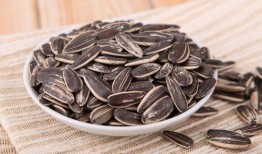 吃瓜不爱吐瓜子,品味生活真滋味