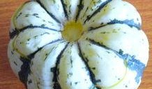 小南有瓜吃,共享丰收的喜悦