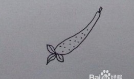 吃瓜的画法教程,跟随画法教程，开启绘画之旅