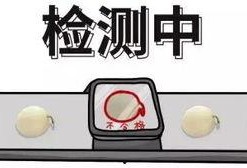 吃瓜必备问题,吃瓜必备的十大热点问题全解析