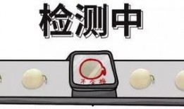 吃瓜必备问题,吃瓜必备的十大热点问题全解析