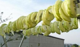 什么瓜不用晒干吃,探索无需晒干即可食用的神奇瓜类