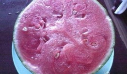 论坛吃瓜故事,揭秘网络背后的真实人生百态