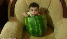 钻石吃瓜,揭秘明星八卦背后的真相