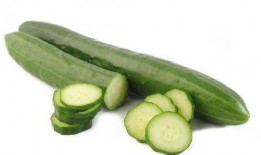 减肥晚上可以吃小瓜,小瓜助你轻松减肥